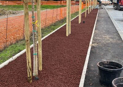 realizzazione aree verdi Prato